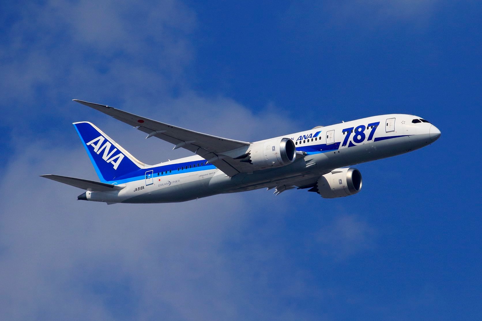World’s largest Dreamliner operator wants fleet of more than 100