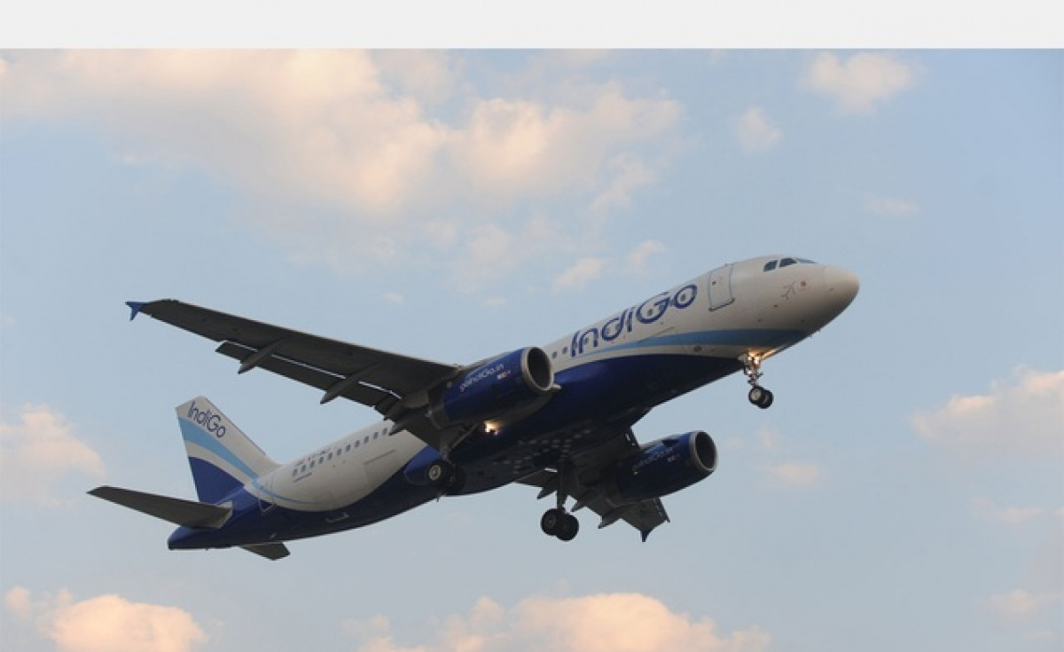 Indigo, Indigo Airlines, India Indigo, Indigo Airlines, India