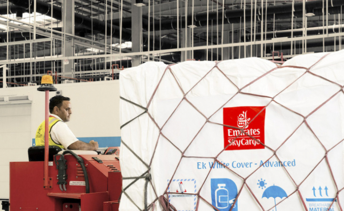 Fruits and vegetables were the largest category of perishables transported by Emirates SkyCargo. In the last year, the air cargo carrier transported over 150,000 tonnes of fruits and vegetables globally. Fruits and vegetables were the largest category of perishables transported by Emirates SkyCargo. In the last year, the air cargo carrier transported over 150,000 tonnes of fruits and vegetables globally.