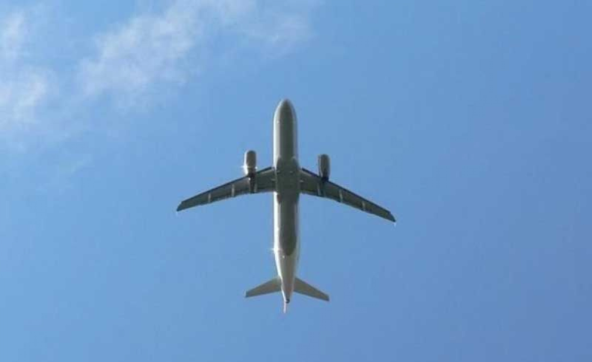 Iata, International Air Transport Association, Passenger Numbers Iata, International Air Transport Association, Passenger Numbers
