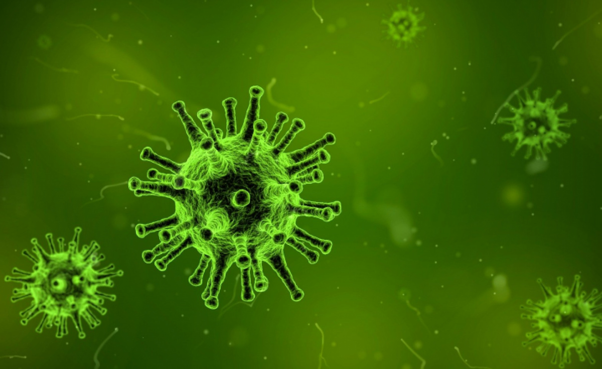 Coronavirus, GCAA, China virus Coronavirus, GCAA, China virus